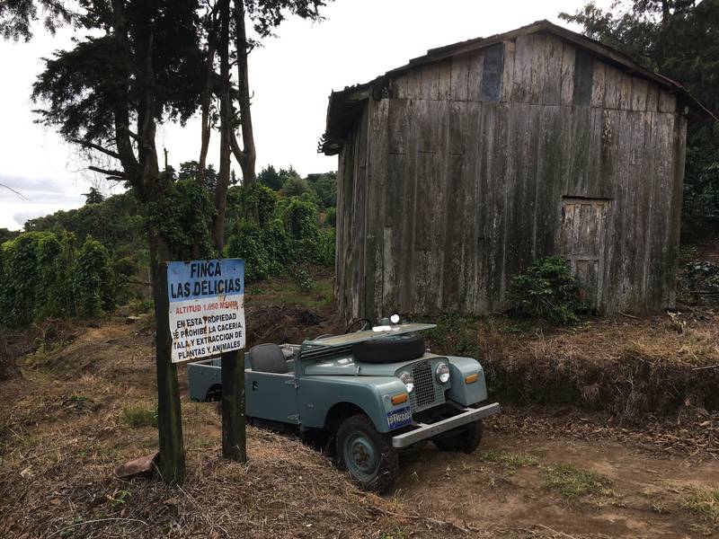 El Salvador Origins