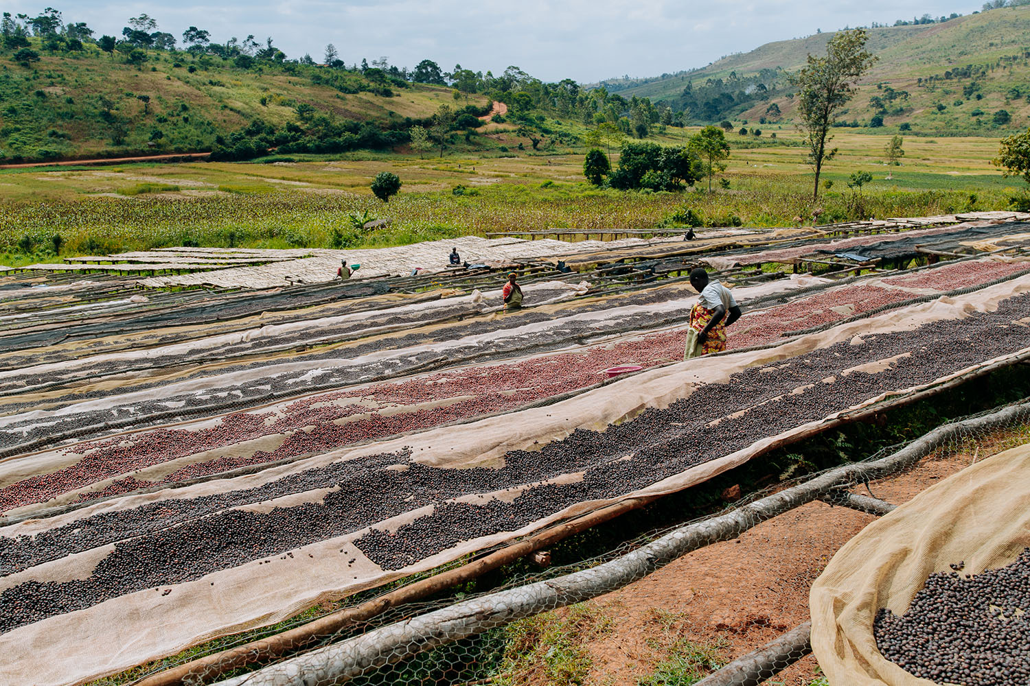 Burundi Origins